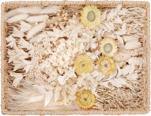 DIY Natural Dried Flower Kit Loose Dried Flowers for vases Off-White Dried Flowers with Stems Preserved Hydrangeas Mini Dried Flower Bouquets (White)