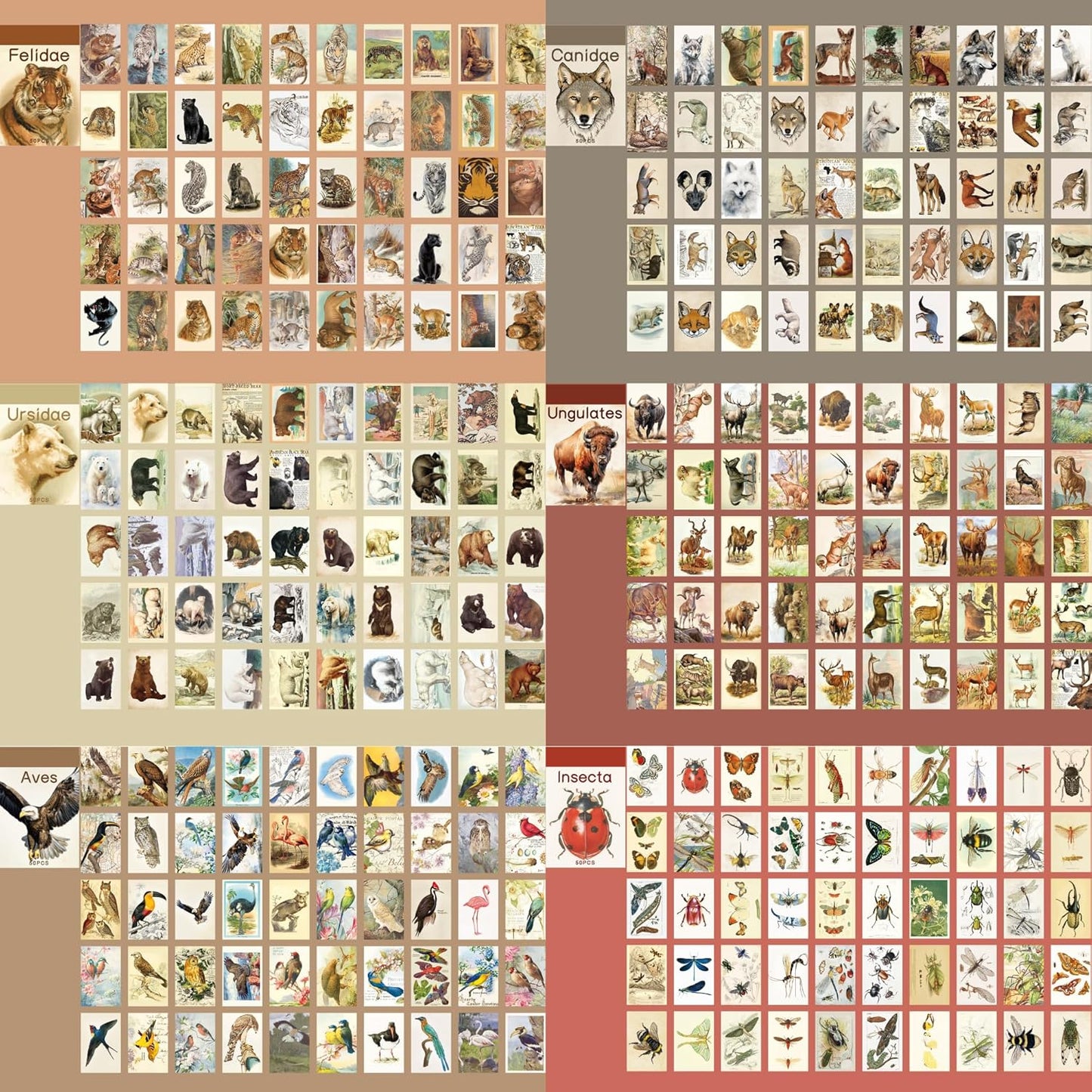 12 Sets 600 Sheets Washi Stickers Book for Journaling, Jungle Animal Sticker, Wild Zoo Sea Animal Aesthetic Scrapbook Dinosaur Sticker Set for Bullet Journal Card Craft Gift Rewards for Kid Notebook