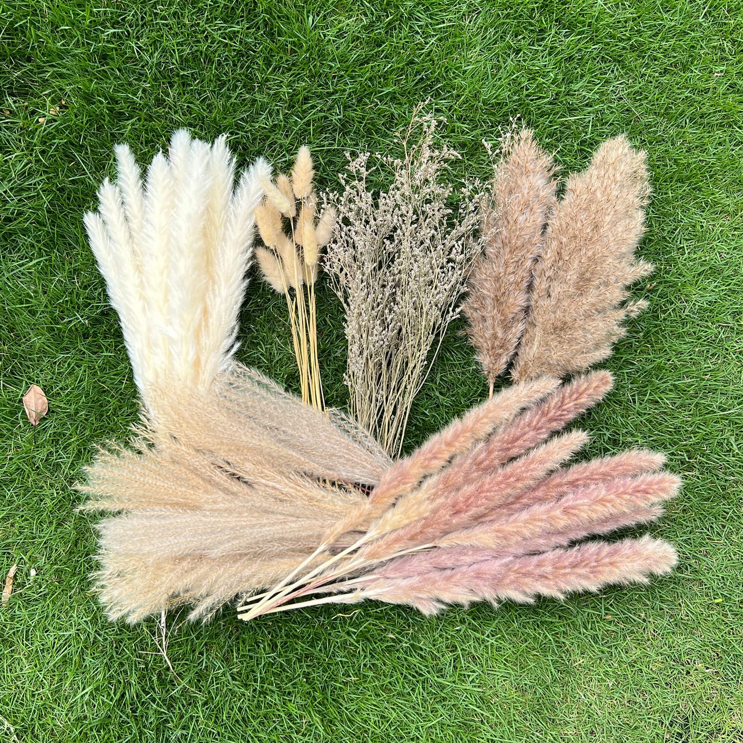 100Pcs Pampas Grass Boho Home Decor 17 inch Natural Dried Flowers-Pampas Grass Contains Bunny Tails