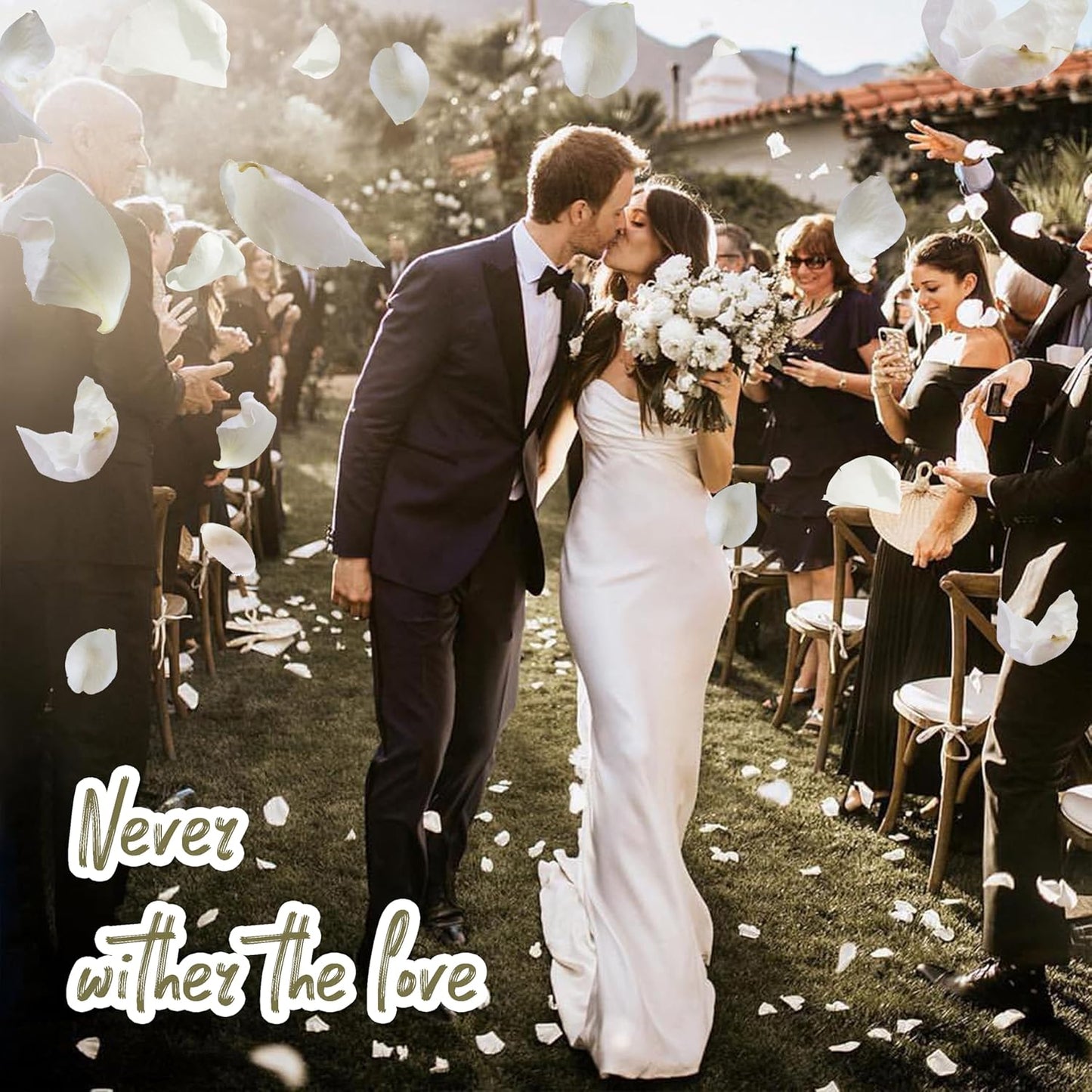 3.5 Oz Dried Rose Petals Wedding Biodegradable Petals, Natural Preservation Real Flower Petals, Suitable for Flower Petals for Flower Girl, Romantic Night, Table Decoration (White, 100g)