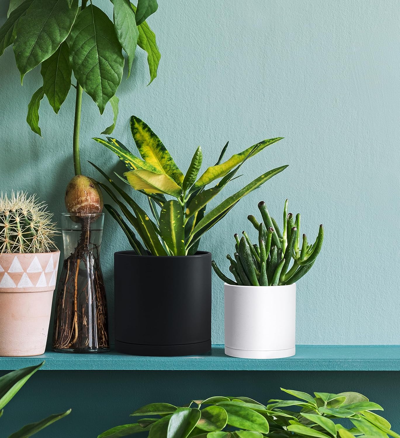 D'vine Dev 4 Pack 4.5 Inch Modern Plastic Plant Pots, Small Garden Planters for Plant with Drainage Holes and Saucers, White Color, 74-Z-F-2