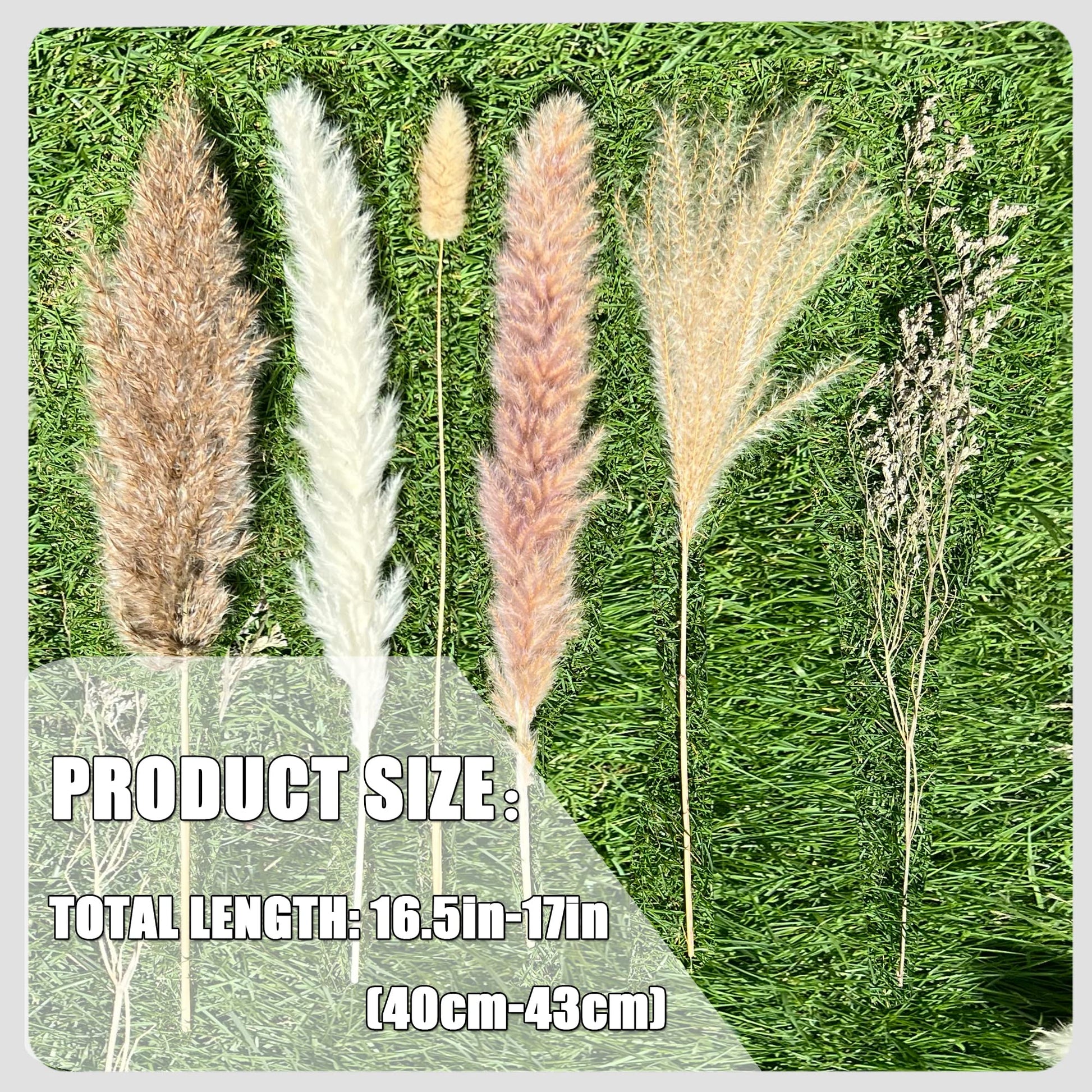 100Pcs Pampas Grass Boho Home Decor 17 inch Natural Dried Flowers-Pampas Grass Contains Bunny Tails