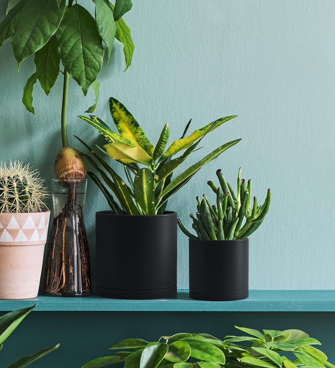 D'vine Dev 4 Pack 4.5 Inch Modern Plastic Plant Pots, Small Garden Planters for Plant with Drainage Holes and Saucers, Black Color, 74-Y-F-2