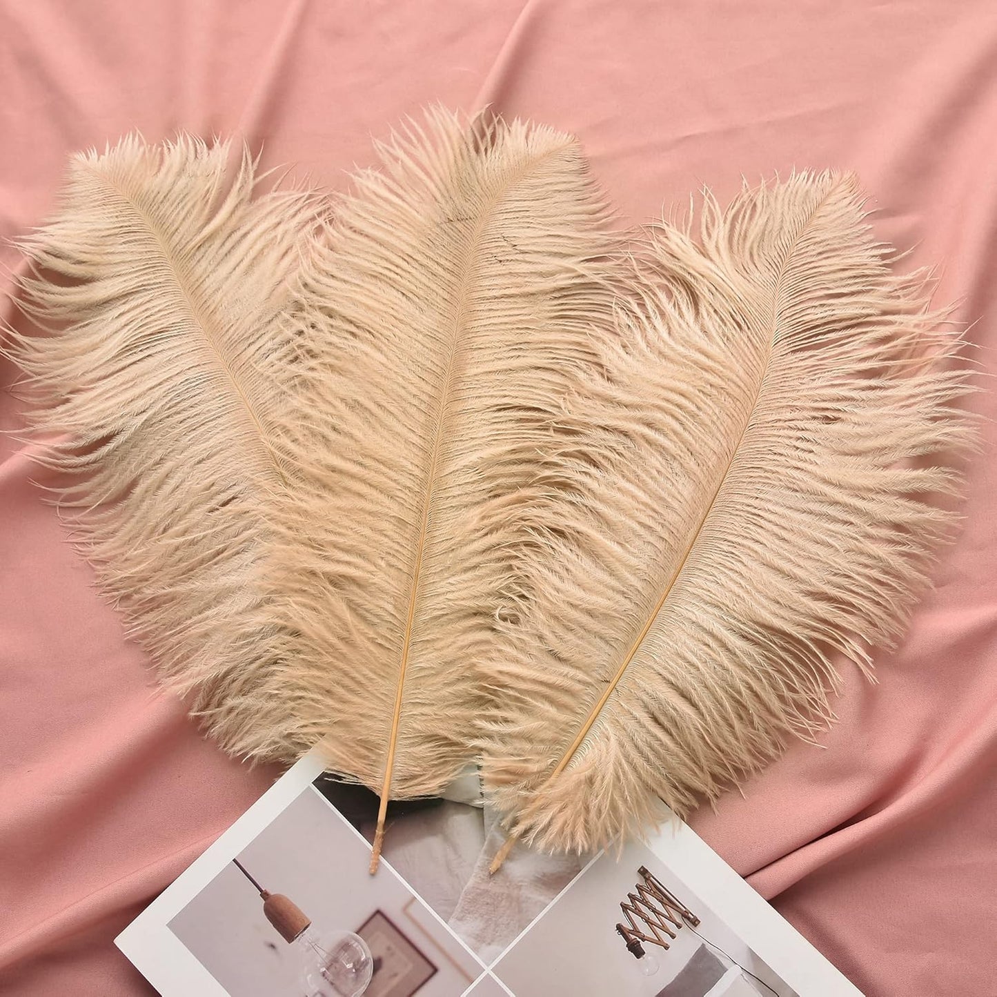 Ballinger Large Champagne Ostrich Feathers - 24pcs 8-10inch Boho Feathers for vase and Home Decor Wedding Party Centerpieces