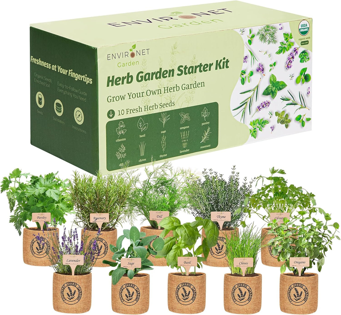 10 Indoor Herb Garden Kit- Burlap Pots, Organic Seeds, Herb Garden Planter Indoor Kit, Easy Window & Kitchen Herbs Growing Kit, Cilantro, Basil, Sage, Oregano, Parsley, Dill, Chives etc.